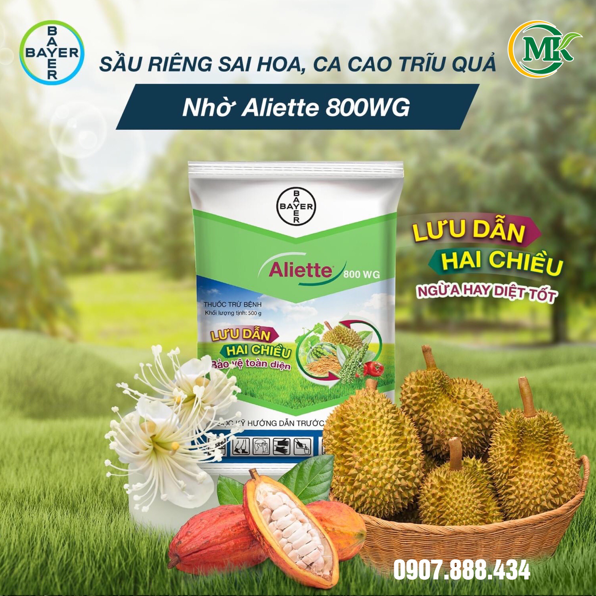 Thuốc trừ bệnh Aliette 80WG - Gói 100g